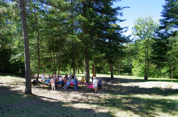 L'installation des participants sous les sapins séculaires du Parc forestier du Brusquet